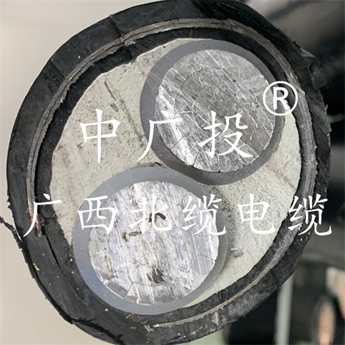 www.anyigyc.com